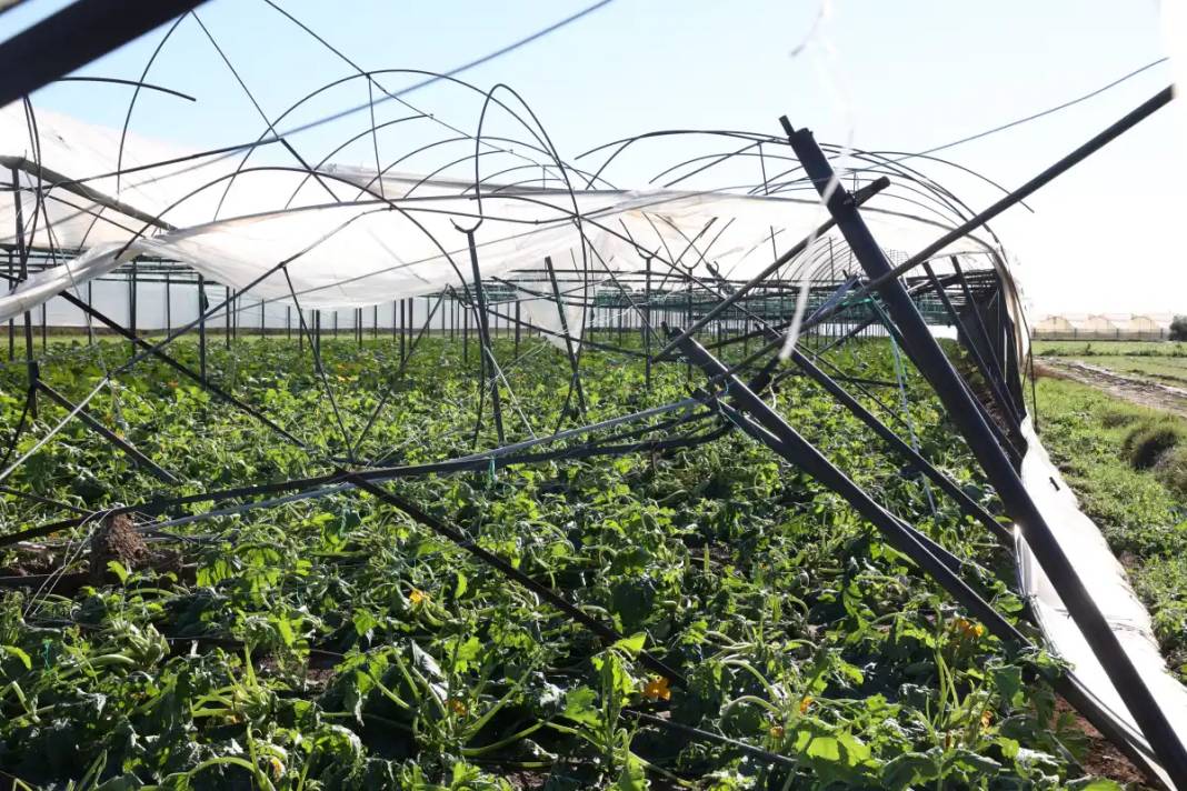 Antalya'da Hortumun Vurduğu Seralara Acil Destek 4